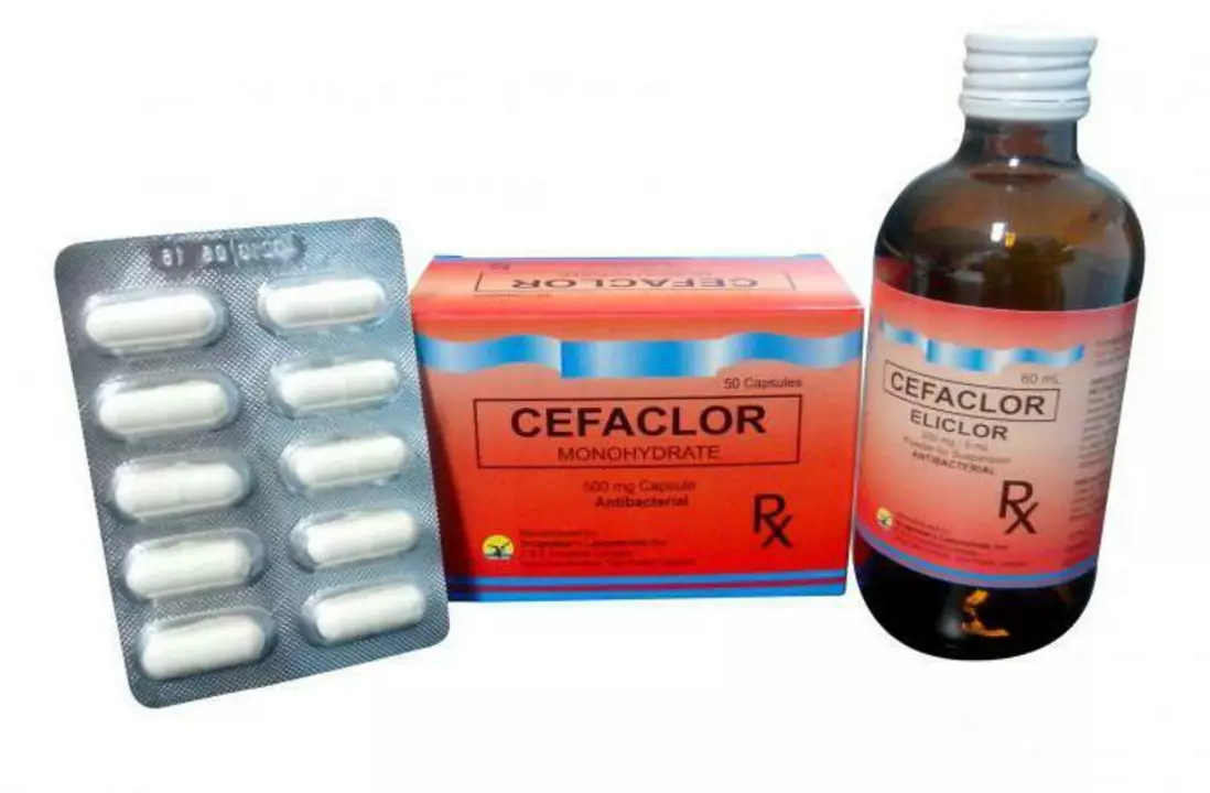 Cefaclor Interactions: What to Avoid While Taking This Antibiotic