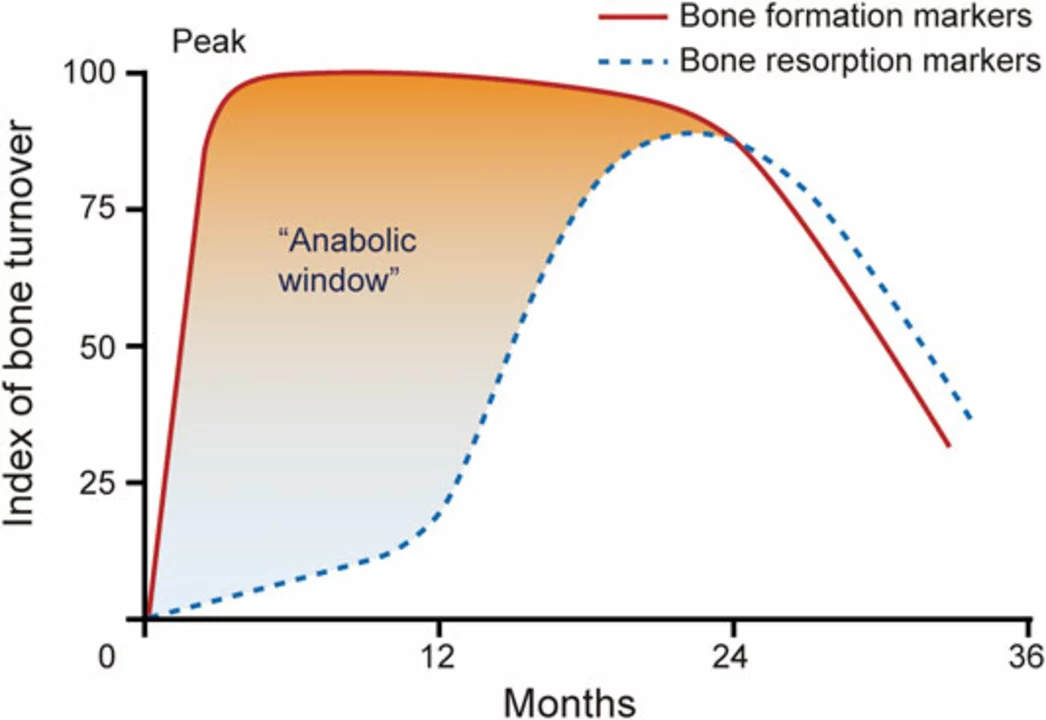 The Role of Parathyroid Hormone in Osteoporosis Treatment